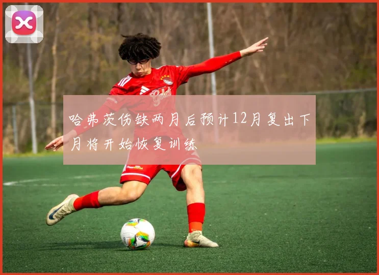 哈弗茨伤缺两月后预计12月复出下月将开始恢复训练
