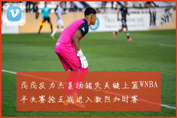 茂茂发力杰基杨错失关键上篮WNBA半决赛抢五战进入激烈加时赛