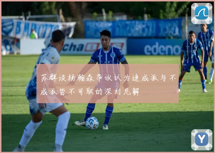 苏群谈杨瀚森争议认为速成派与不成派皆不可取的深刻见解