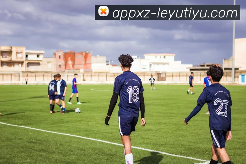 乐鱼体育APP 封面图